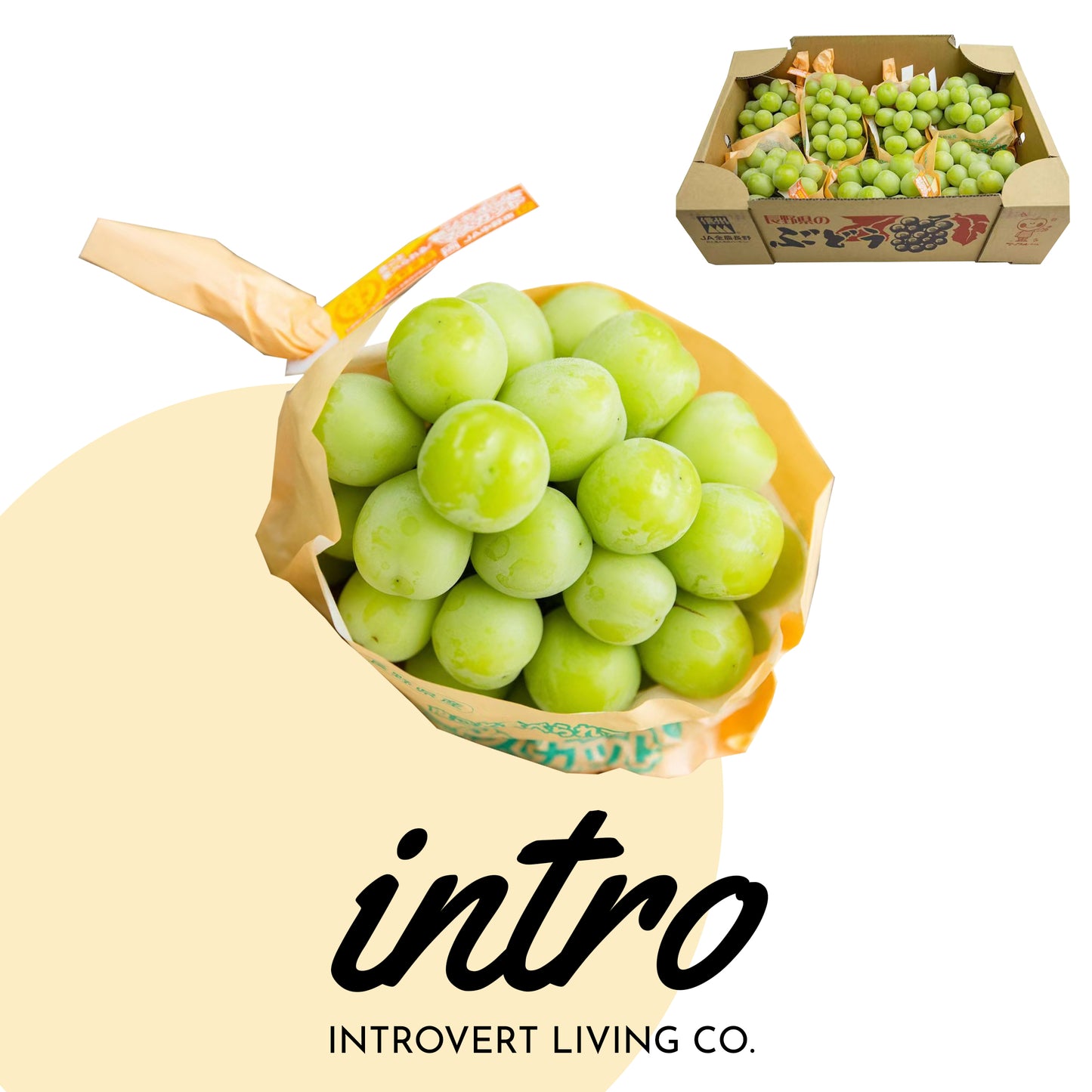 Xiangyin grapes from Nagano Prefecture, Japan