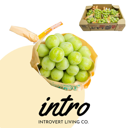 Xiangyin grapes from Nagano Prefecture, Japan