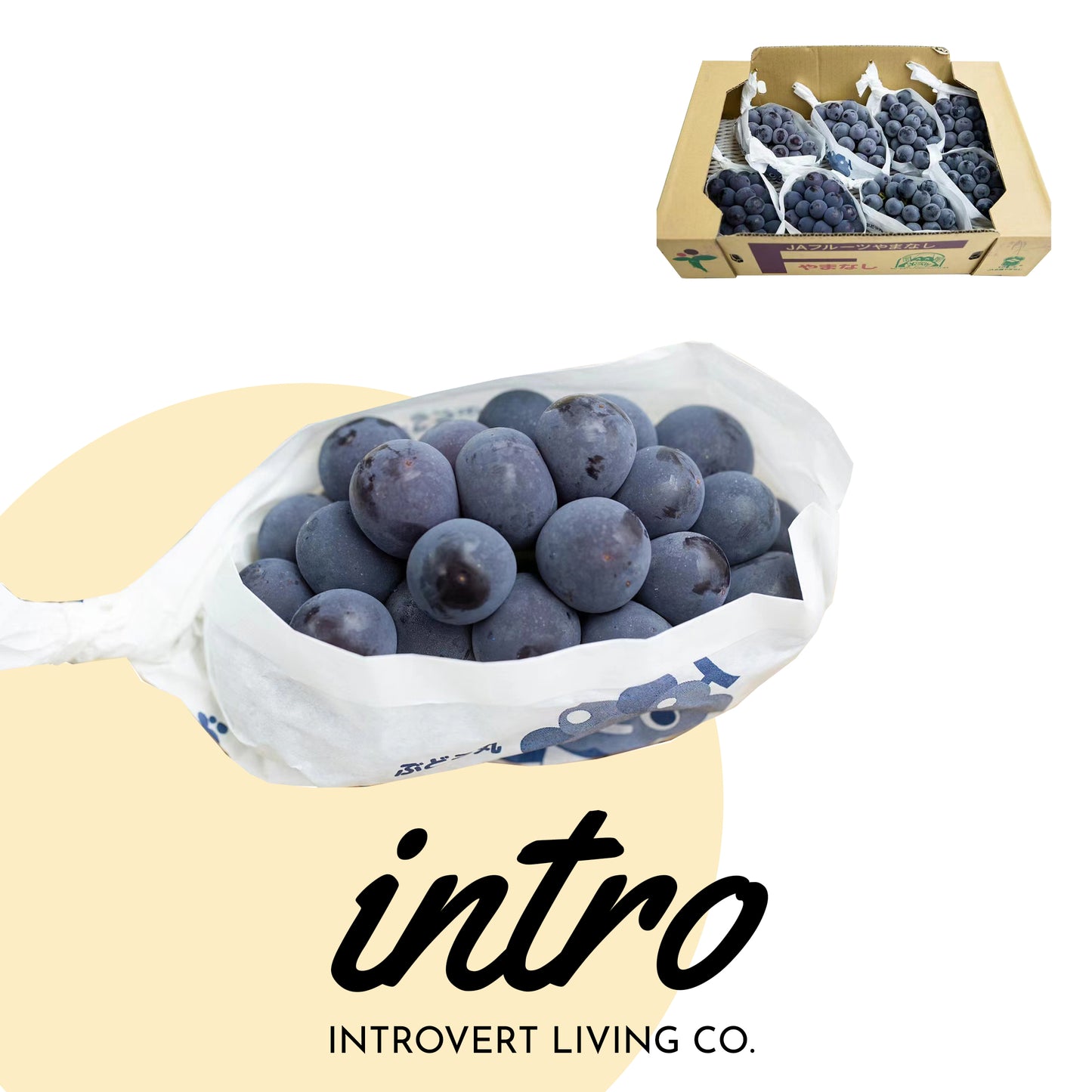 Japan Okayama Pione Cat's Eye Grapes